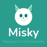 Misky Logo (teal background)
